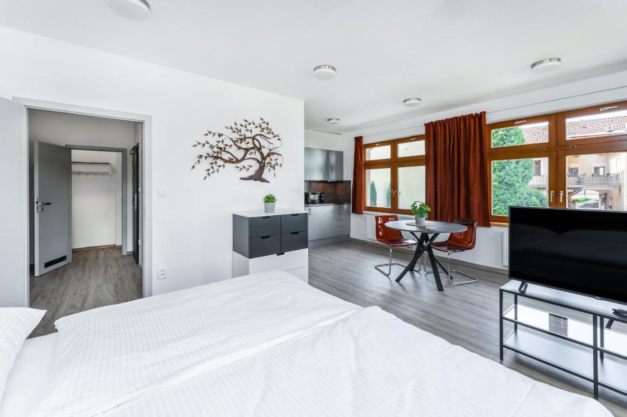 Apartman V Podebradech Podebrady Ngoại thất bức ảnh