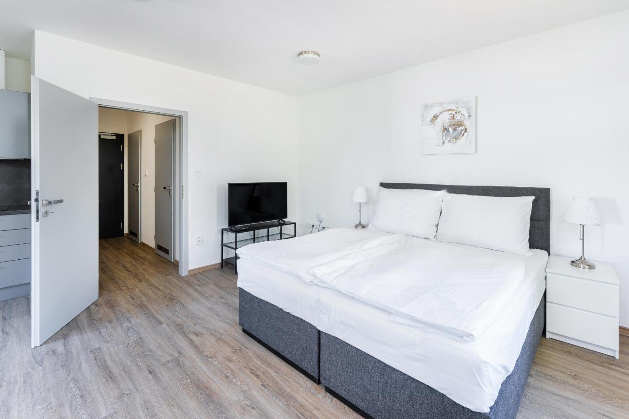 Apartman V Podebradech Podebrady Ngoại thất bức ảnh