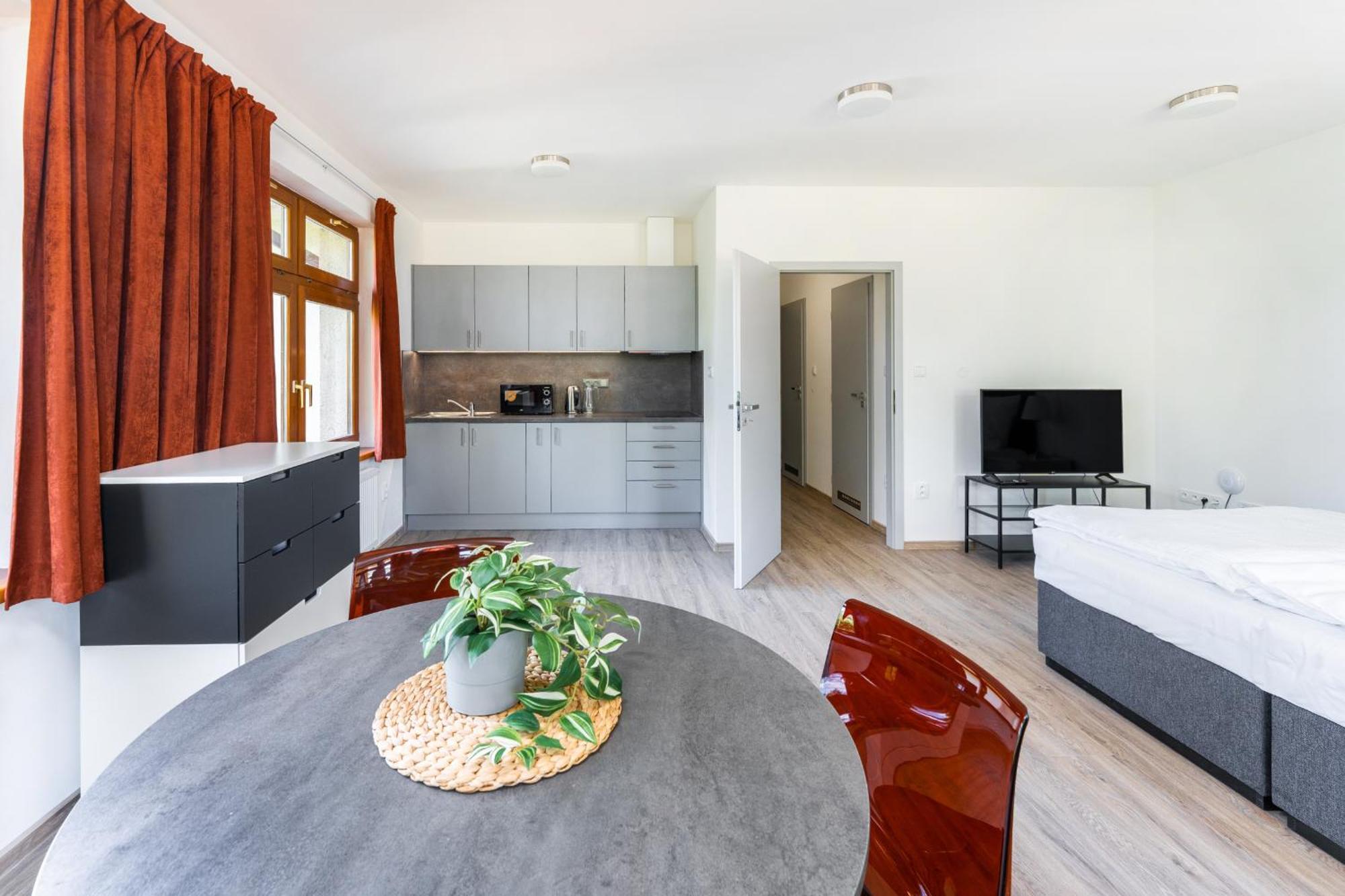 Apartman V Podebradech Podebrady Ngoại thất bức ảnh