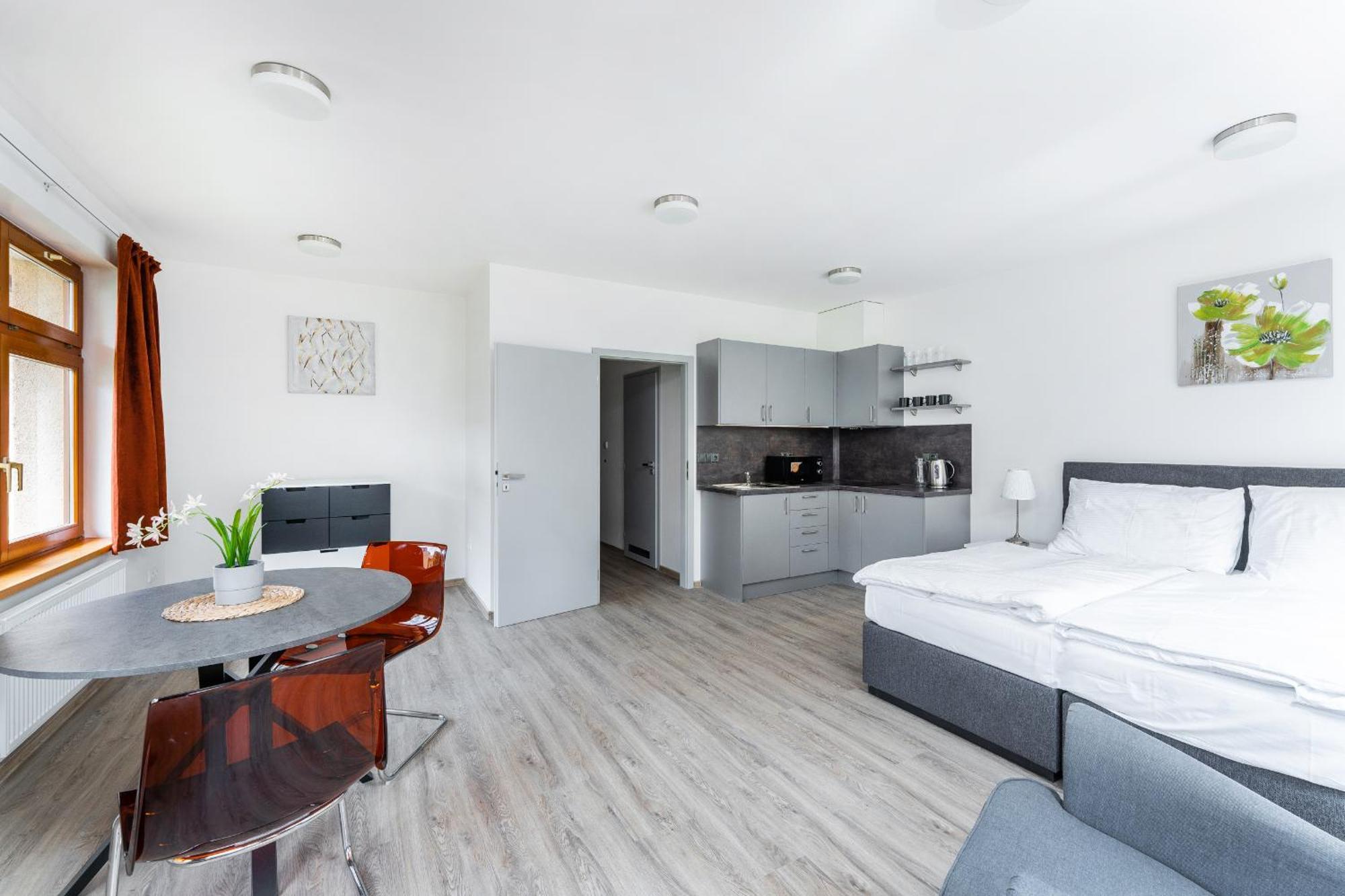Apartman V Podebradech Podebrady Ngoại thất bức ảnh