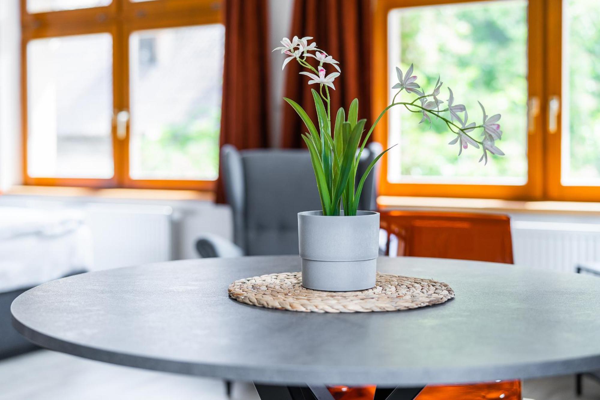 Apartman V Podebradech Podebrady Ngoại thất bức ảnh